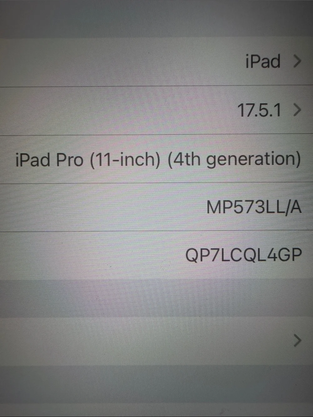 iPad Pro 11-inch 4th generation (WiFi and cellular - 256gb)